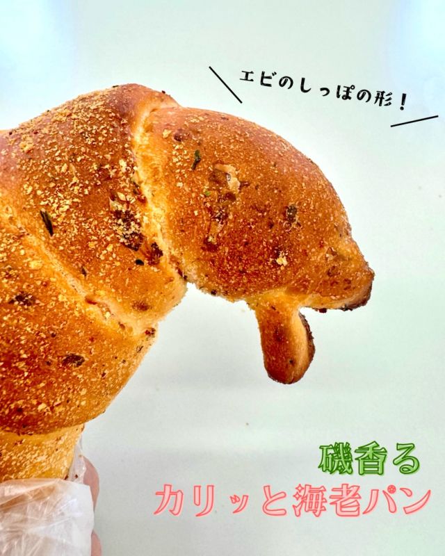 🍤御影本店限定！磯香るカリッと海老パン🍤

御影本店限定の新商品「磯香るカリッと海老パン」！
はしっこが海老のしっぽの形になっています🤭

カリカリで、まるでエビ味のスナックを食べているかのような美味しさです。
風味豊かな小エビをたっぷり練り込み、青のりパン粉でカリッと焼き上げています。
おやつにも、ビールのお供にもおすすめです🍺

#ケルンのパン 
#海老パン 
#御影パン